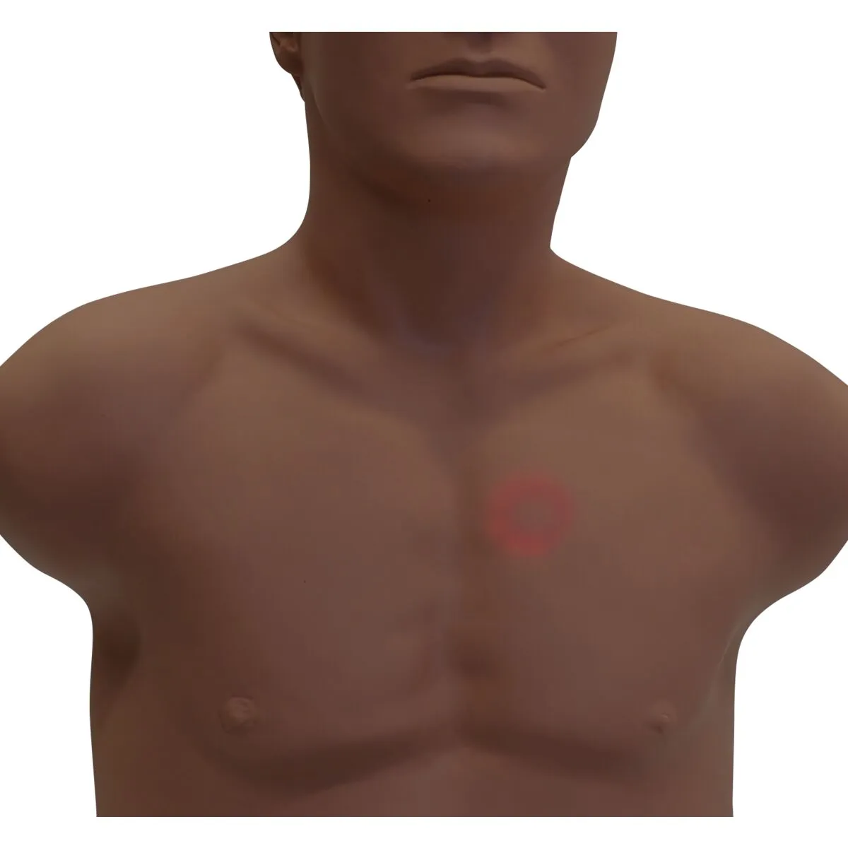 SAM4 Auscultation Manikin, Dark