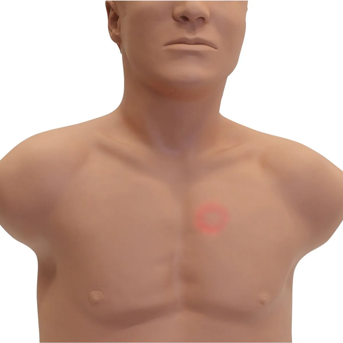 SAM4 Auscultation Manikin, Light